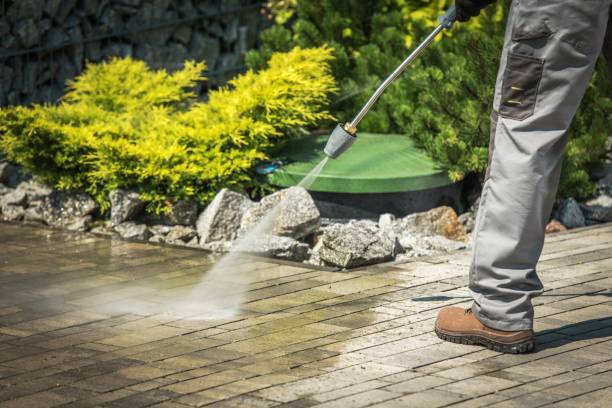 Best Vinyl Siding Pressure Washing in Elmhurst, IL