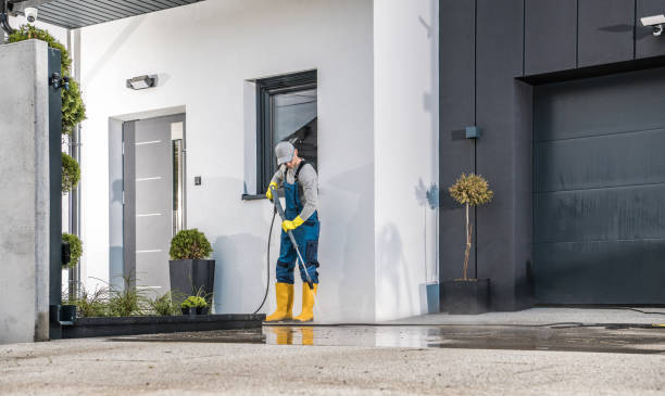 Best Driveway Cleaning and Restoration in Elmhurst, IL